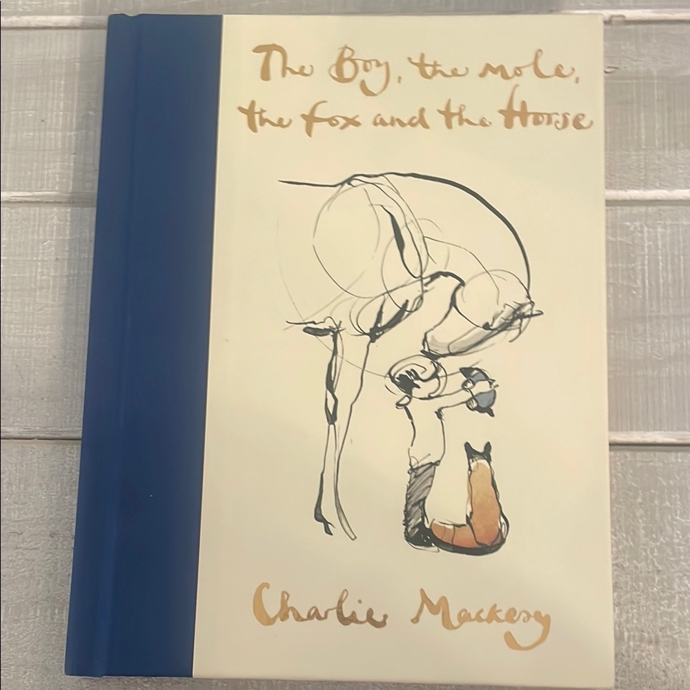 The Boy, the Mole, the Fox and the Horse Book